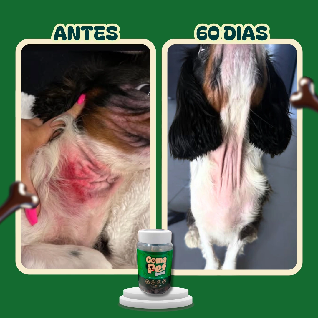 Registro de antes e depois da pele na região das costas de um cão